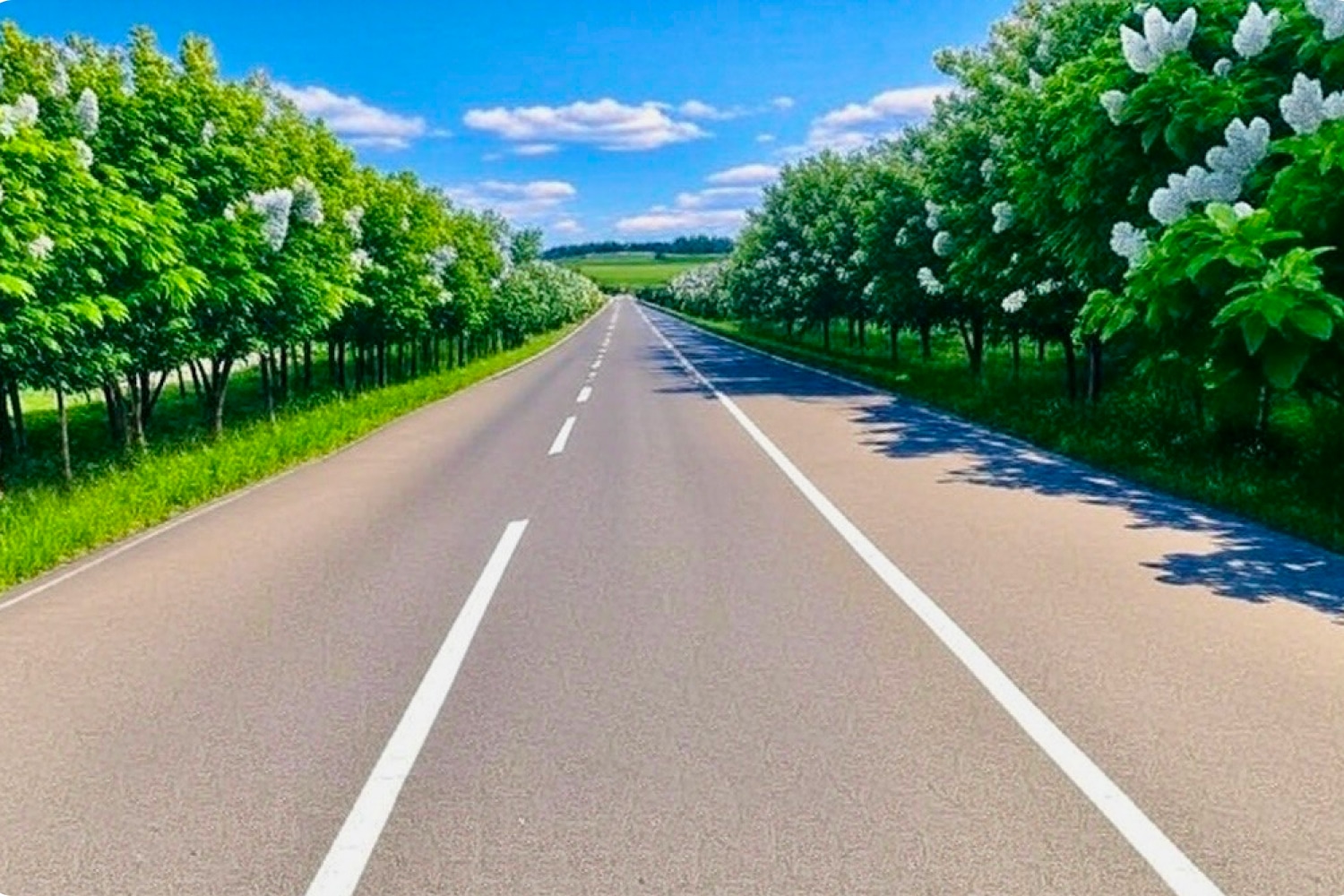 subpageVisualImage